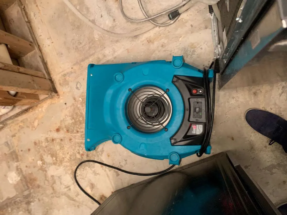 Air mover drying equipment for Mold Remediation & Removal in Westford